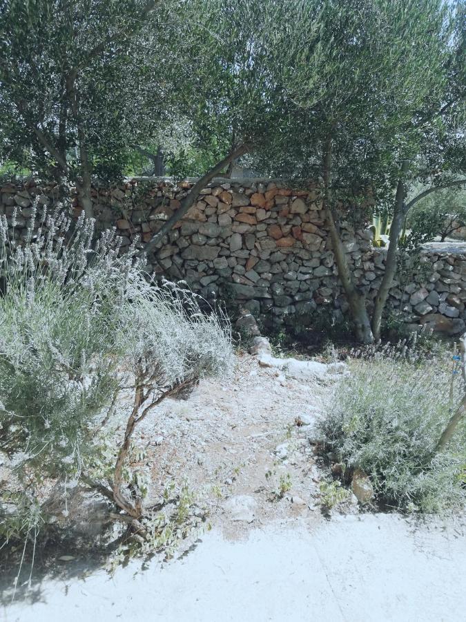 فيلا Lavender House ماندري المظهر الخارجي الصورة